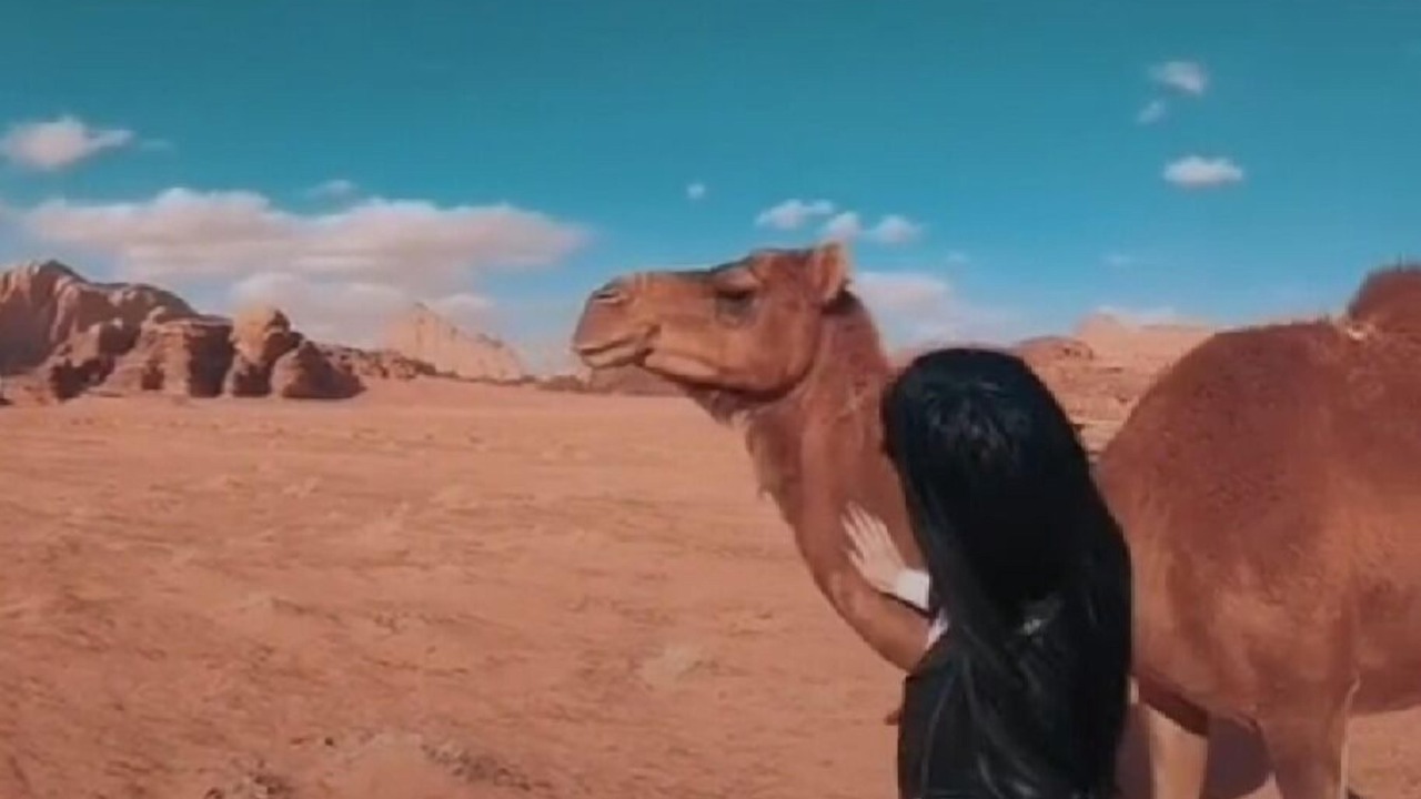 Photo of Outdoor in Wadi Rum