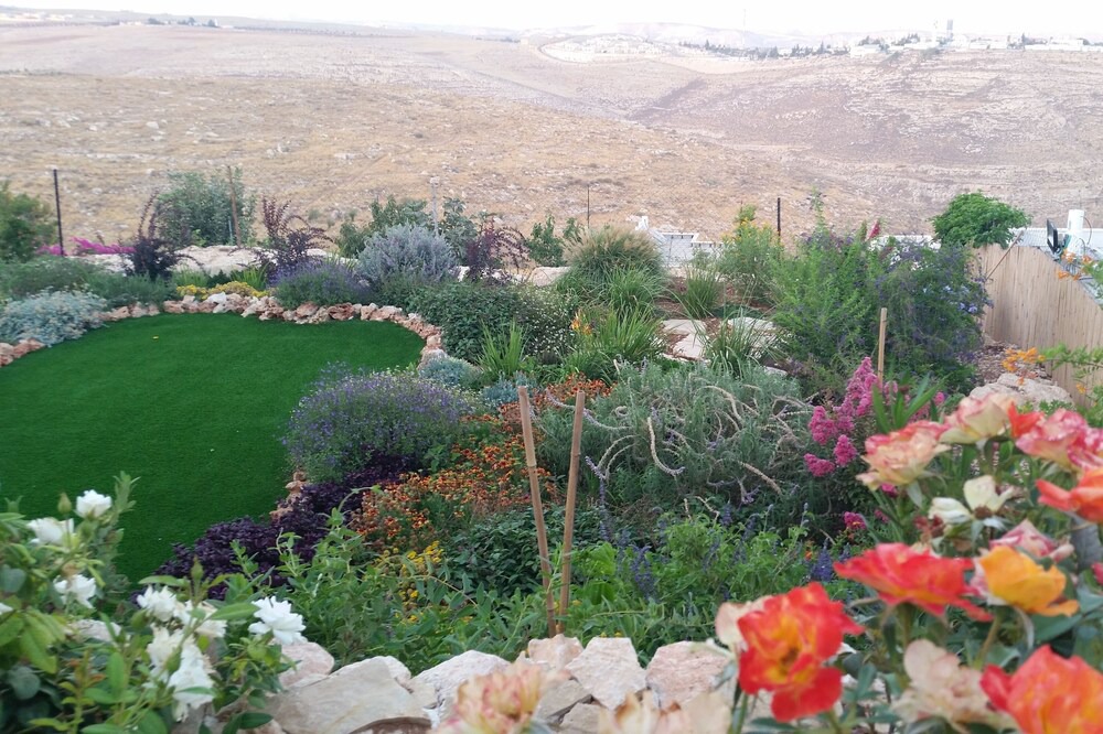 Photo of Outdoor in Tekoa