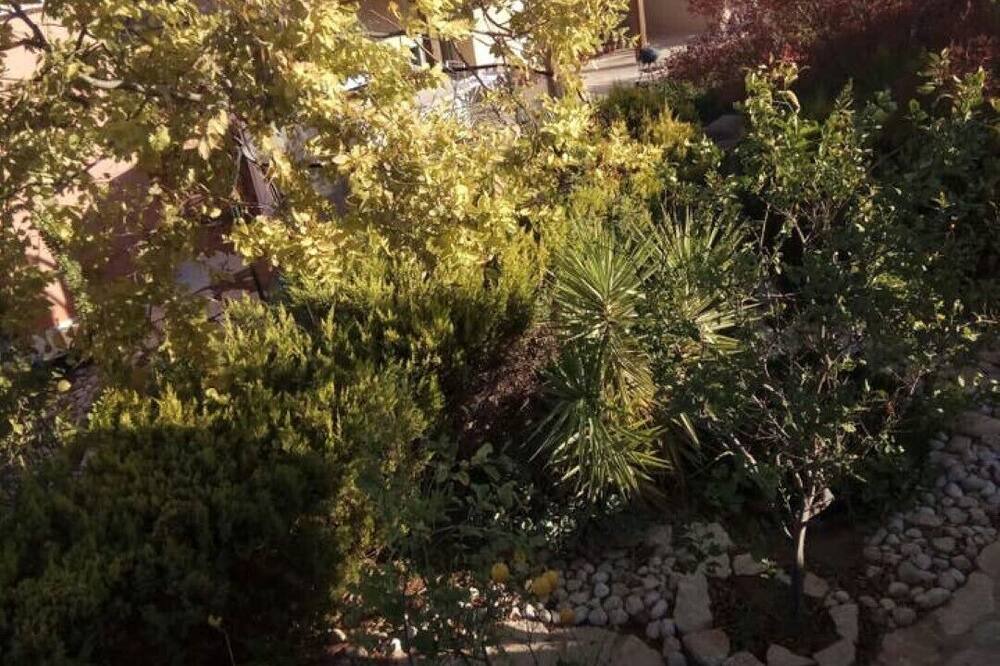 Photo of Outdoor in Midreshet Ben-Gurion