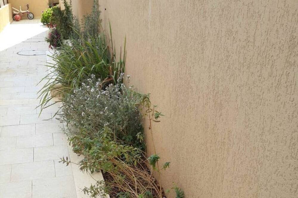 Photo of Outdoor in Midreshet Ben-Gurion