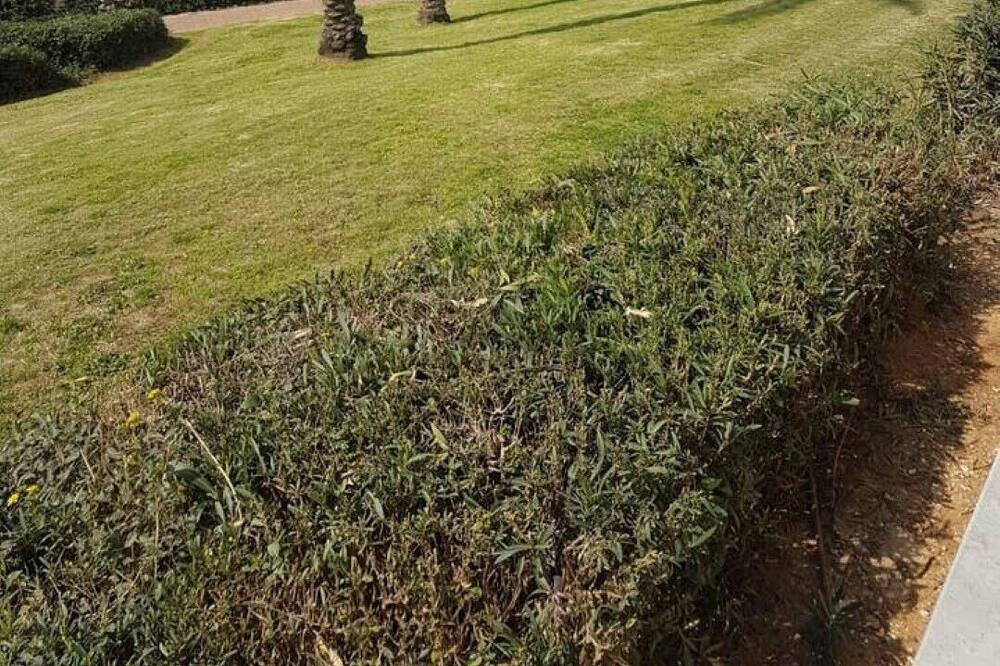 Photo of Outdoor in Netanya