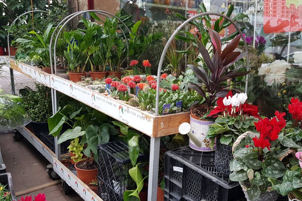 Photo of Outdoor in Petah Tikva