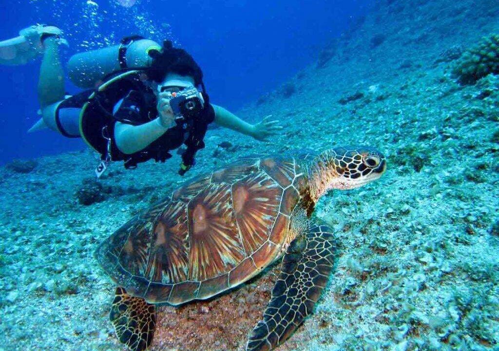 Photo of Others in Aqaba