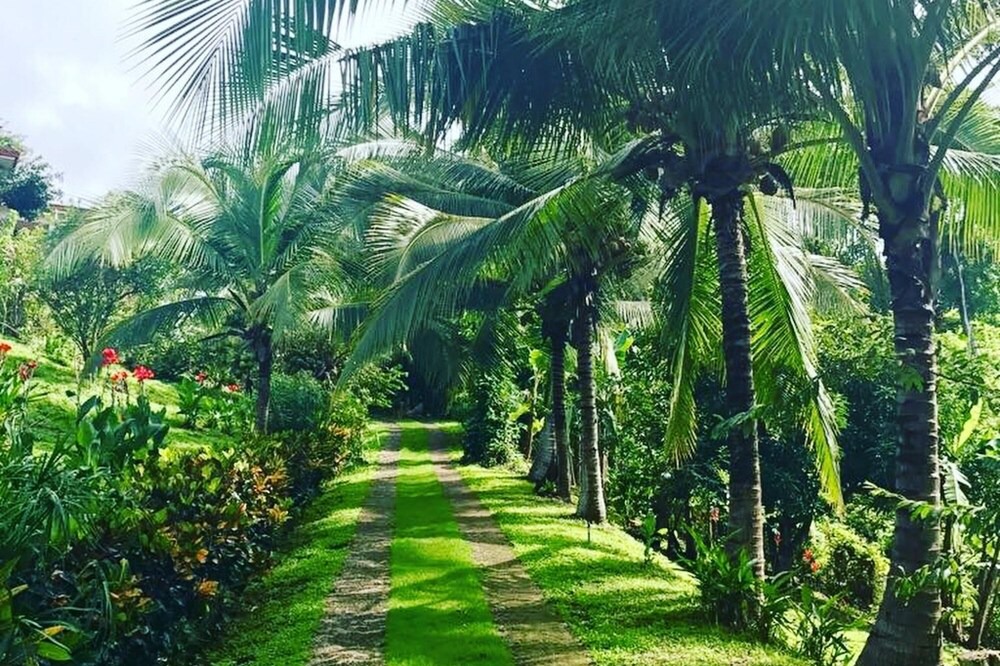 Photo of Outdoor in Cedros