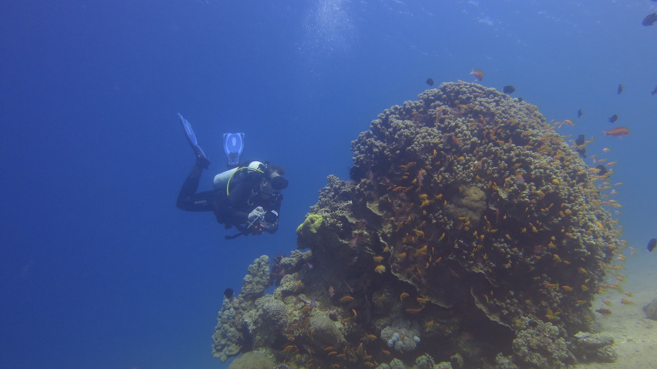 Photo of Others in Aqaba