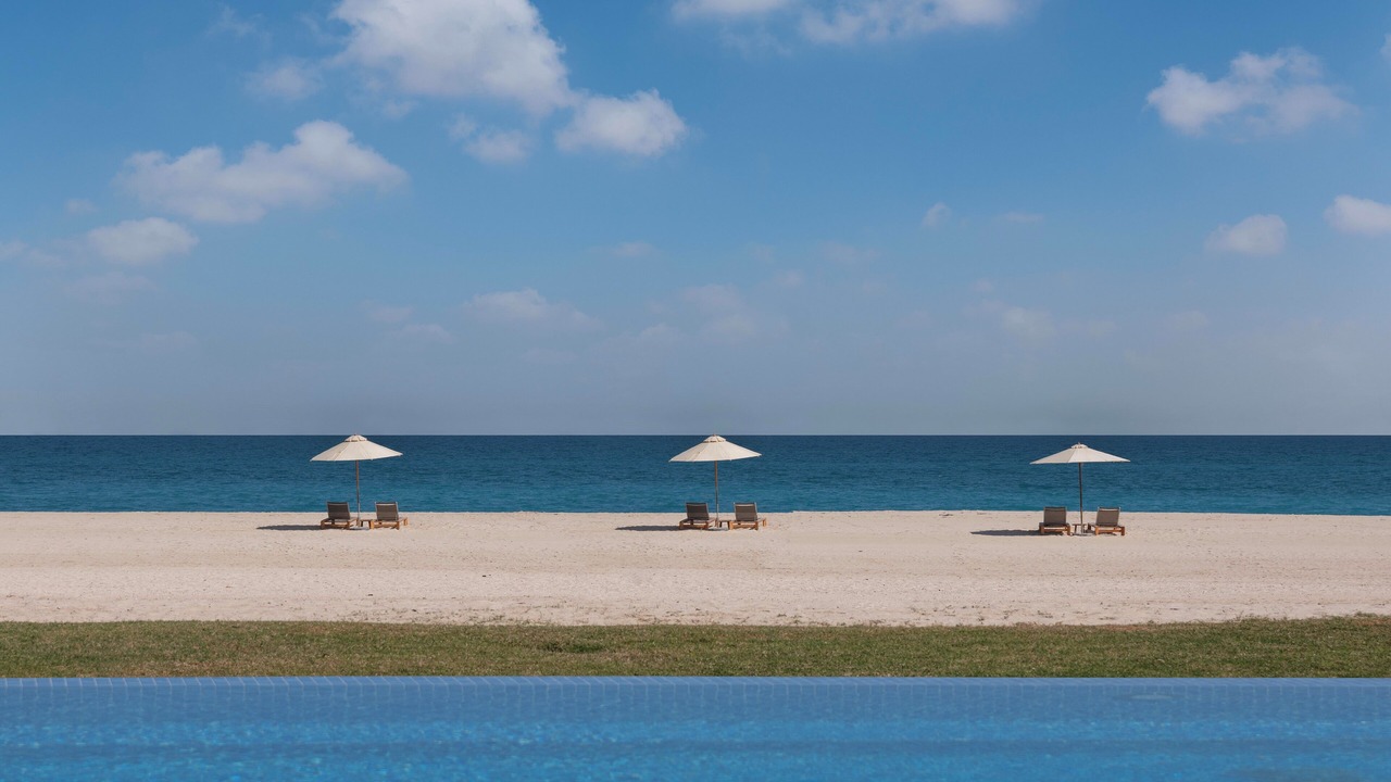 Photo of Others in Sir Bani Yas Island