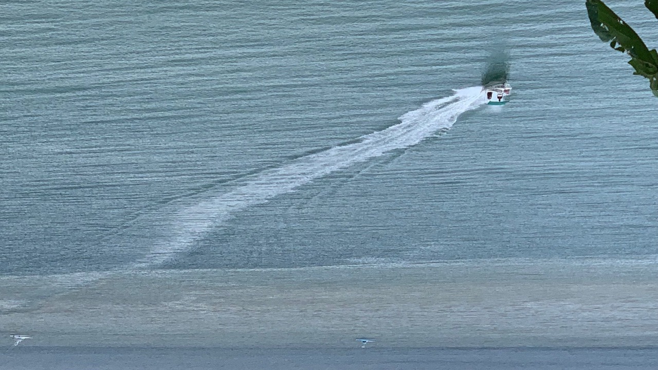 Photo of Others in Drake Bay
