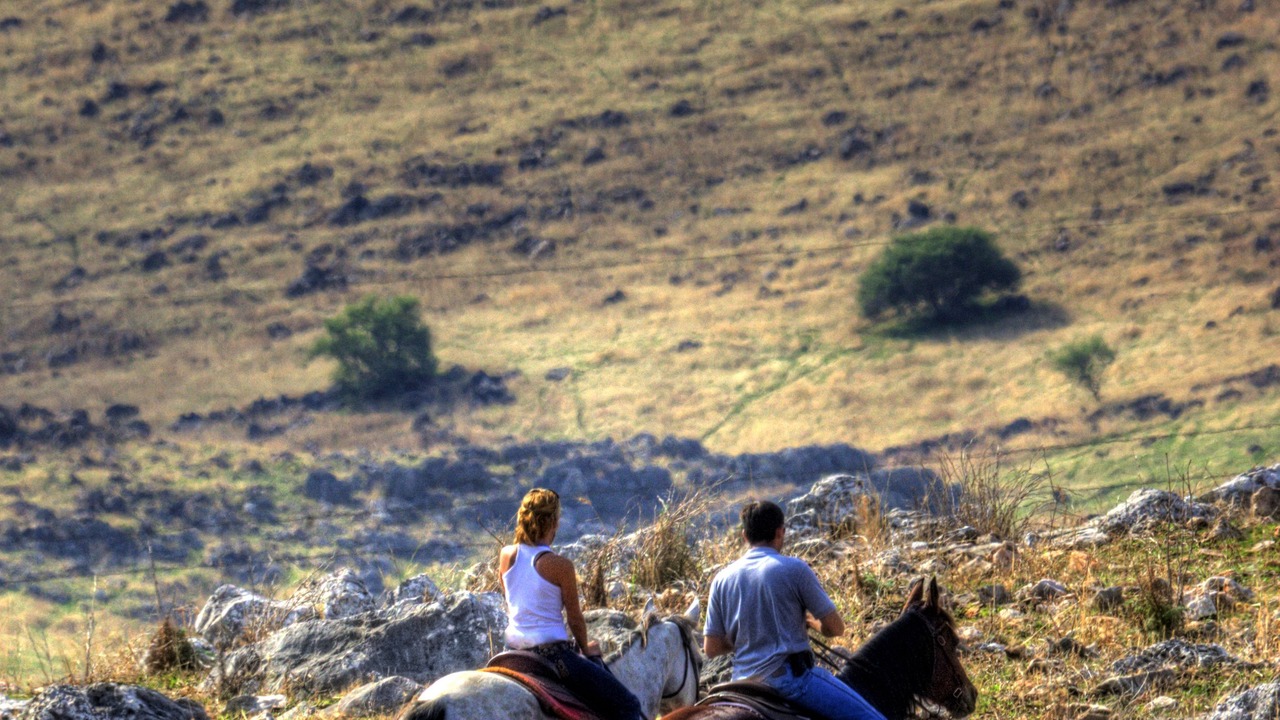 Photo of Outdoor in Vered Hagalil