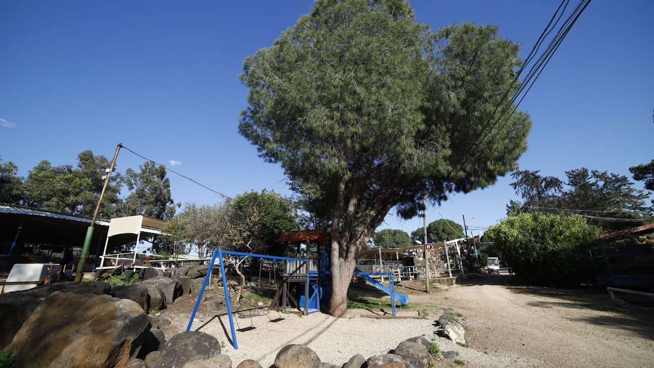 Photo of Outdoor in Vered Hagalil