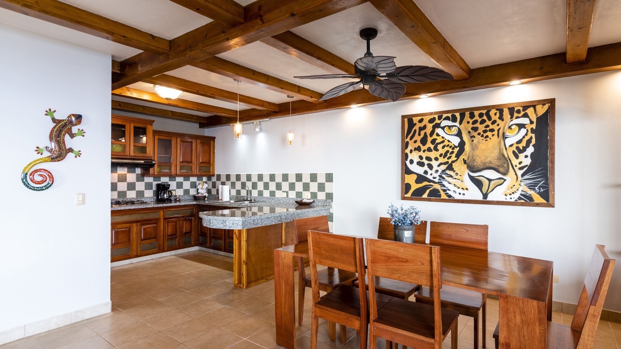 Photo of Kitchen in Dominical