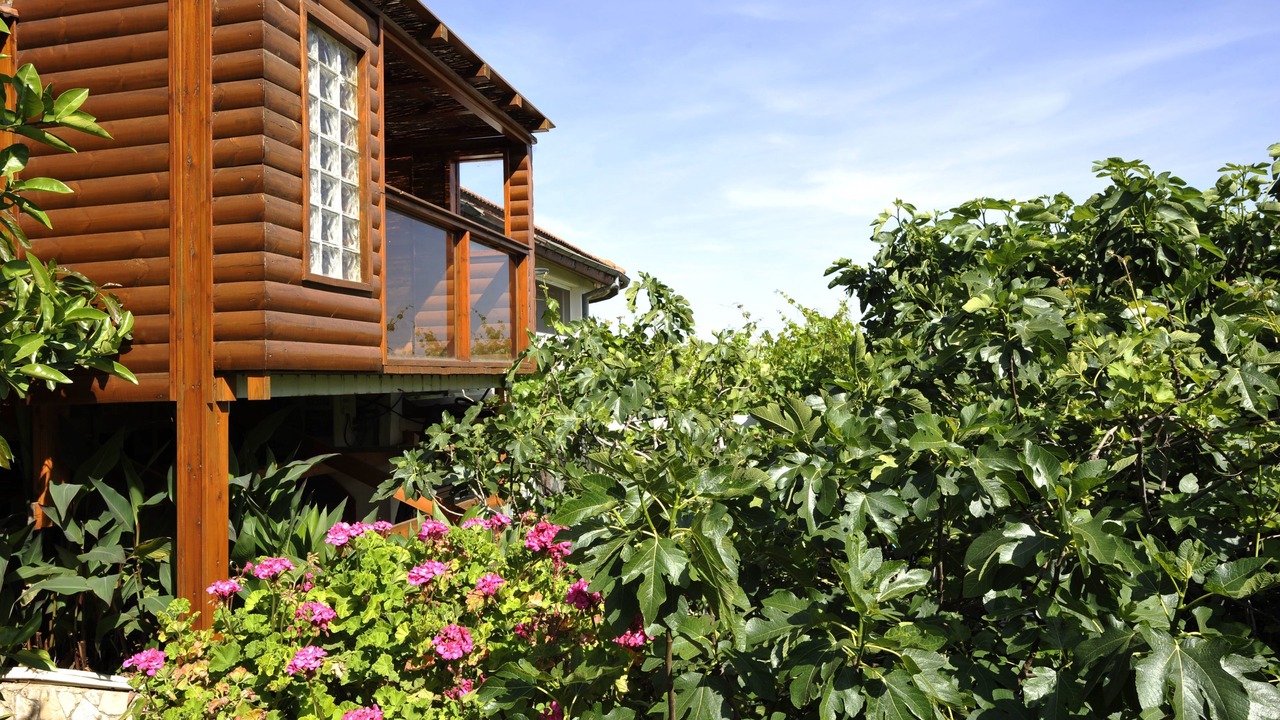 Photo of Patio Balcony in Amirim