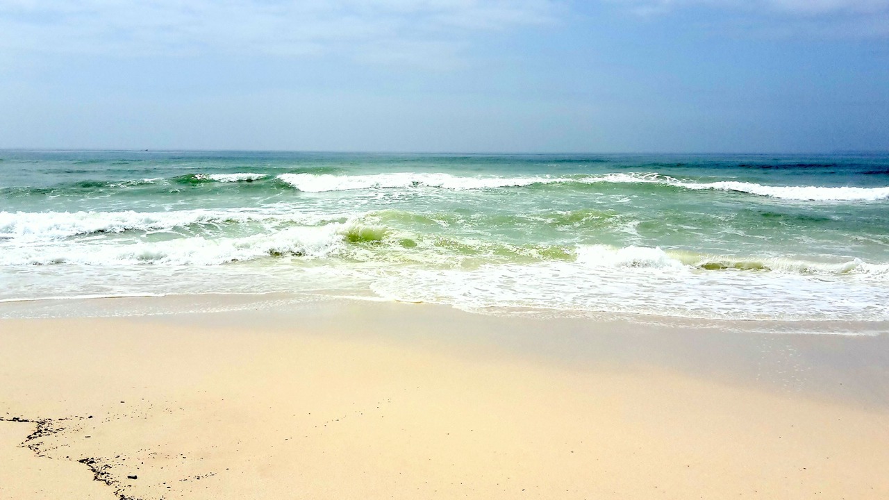 Photo of Others in Salalah