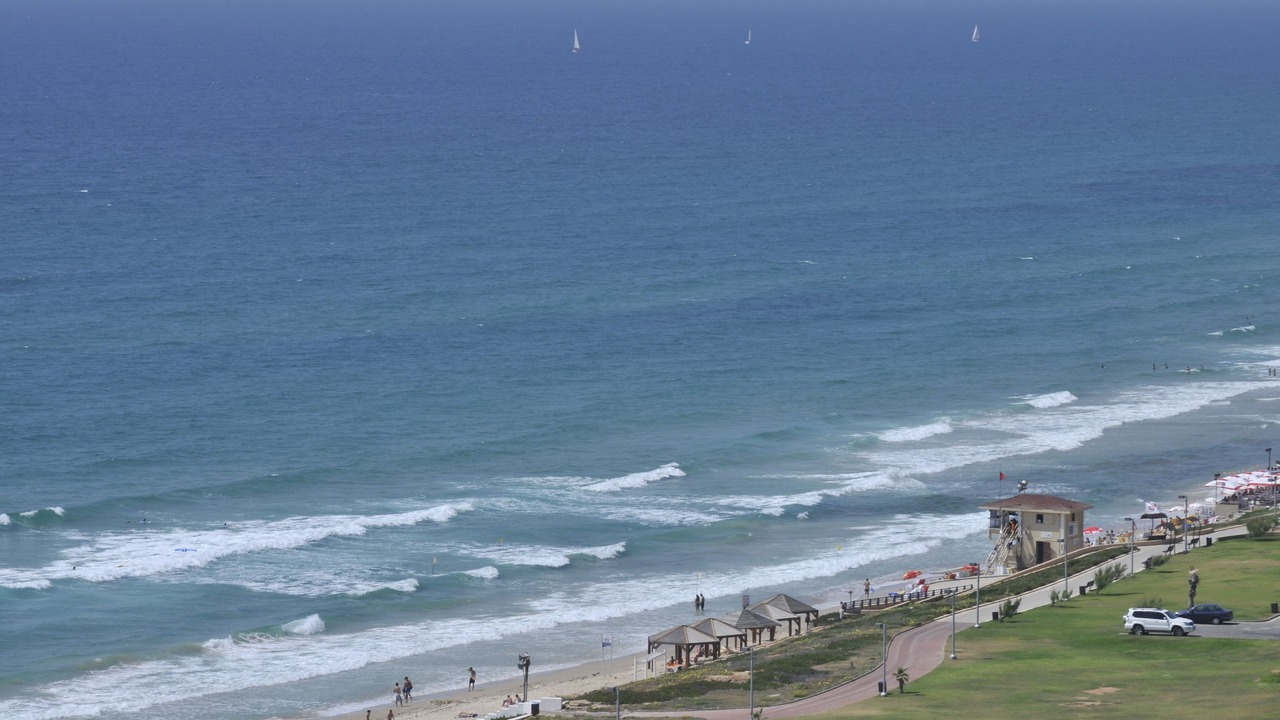 Photo of Others in Tel Aviv Promenade