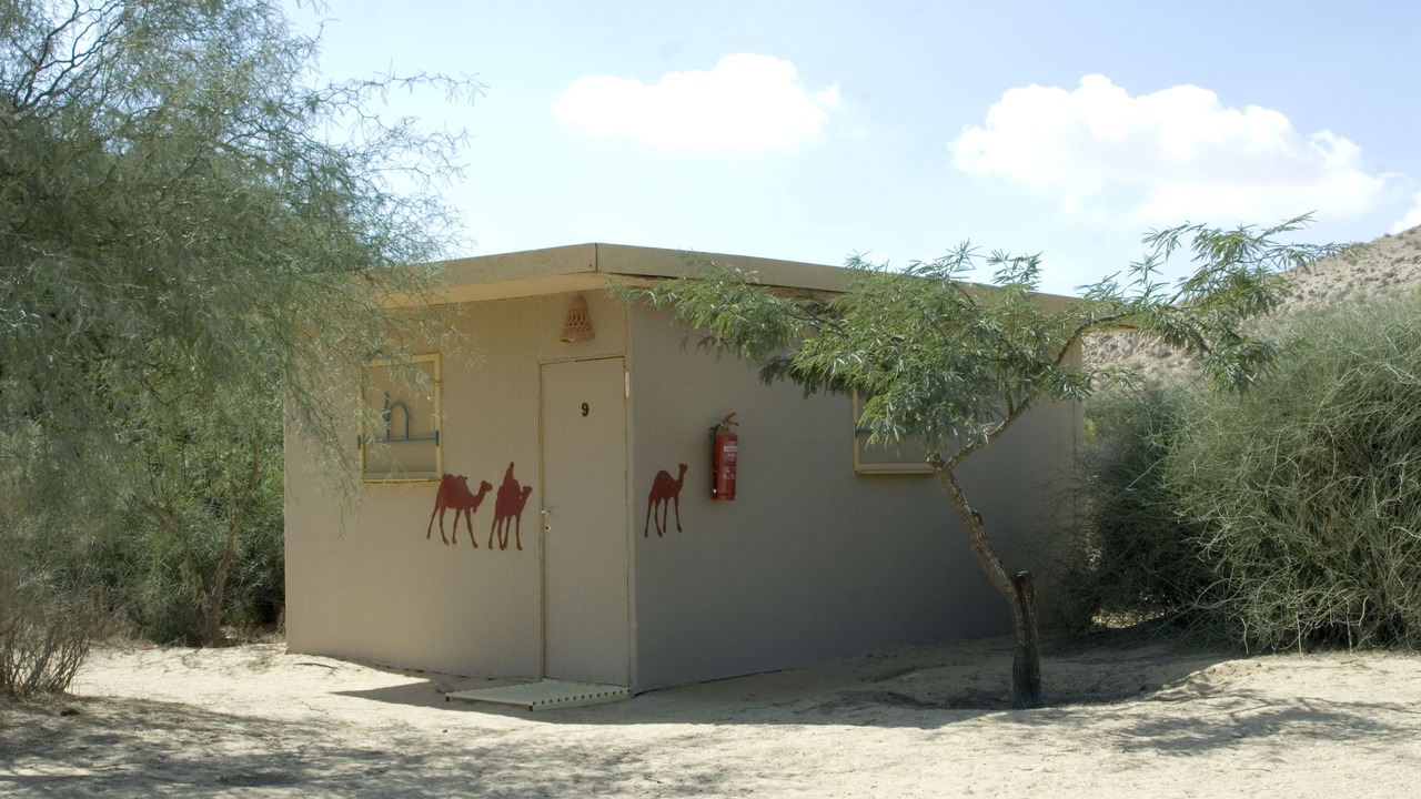 Photo of Others in Dimona
