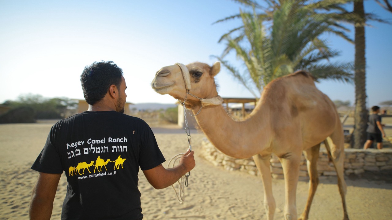 Photo of Others in Dimona