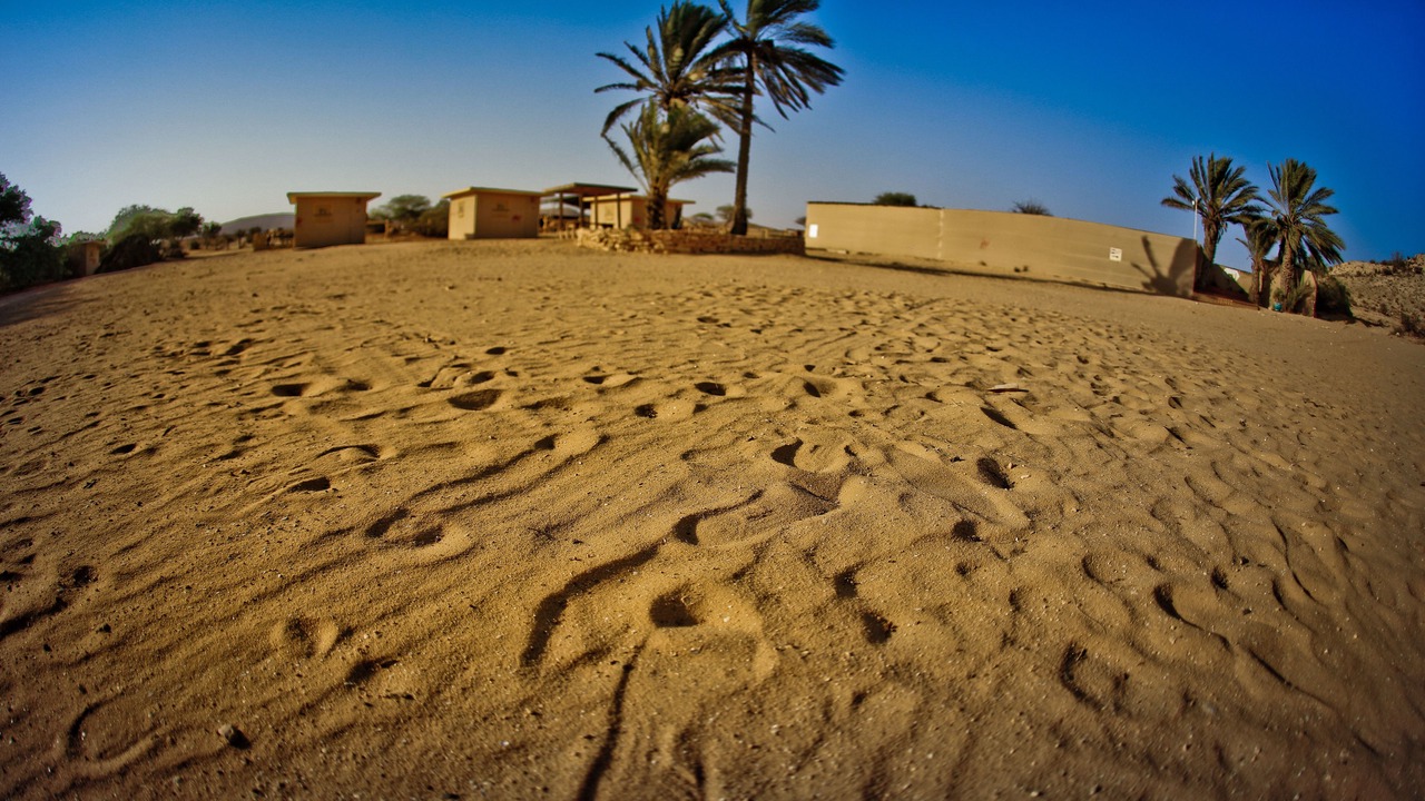 Photo of Outdoor in Dimona