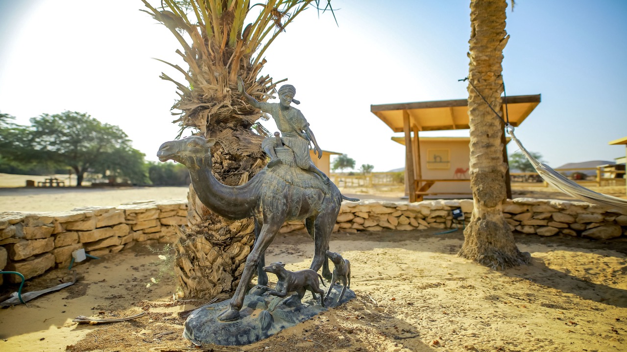 Photo of Outdoor in Dimona