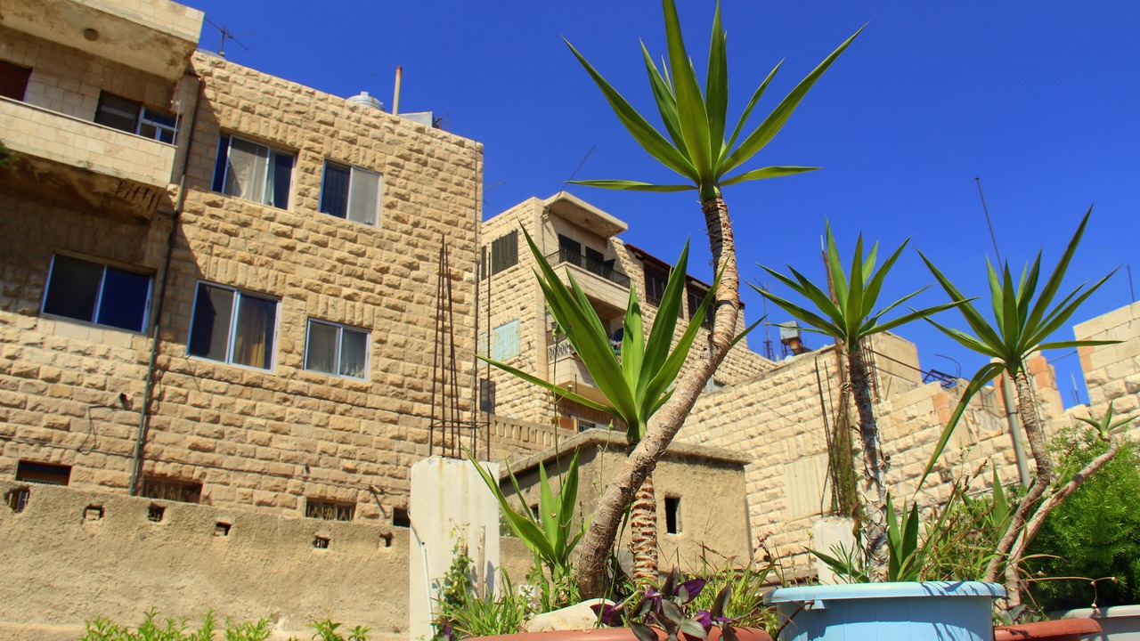 Photo of Outdoor in Jabal Al-Hussein