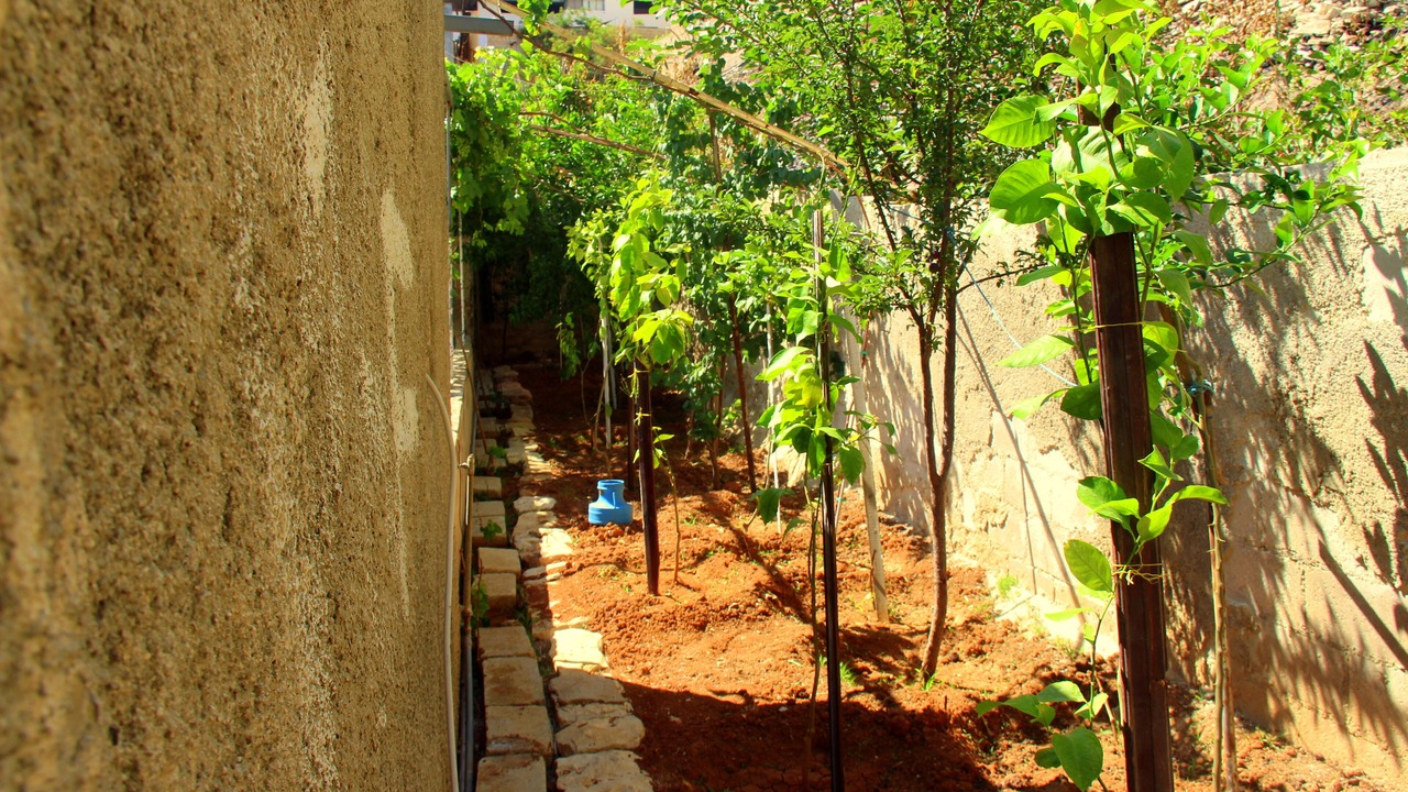 Photo of Outdoor in Jabal Al-Hussein