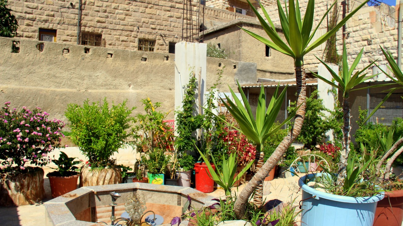 Photo of Outdoor in Jabal Al-Hussein