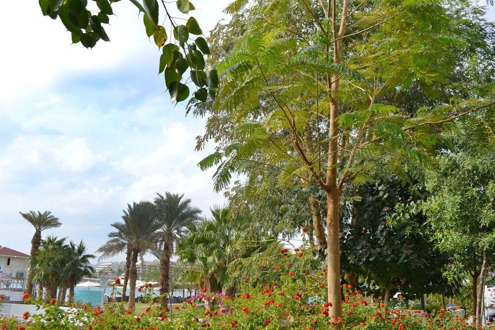 Photo of Outdoor in Eilat