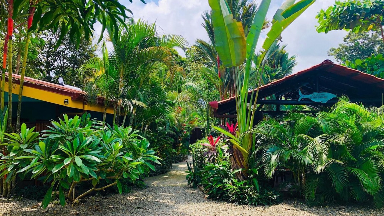 Photo of Outdoor in Uvita