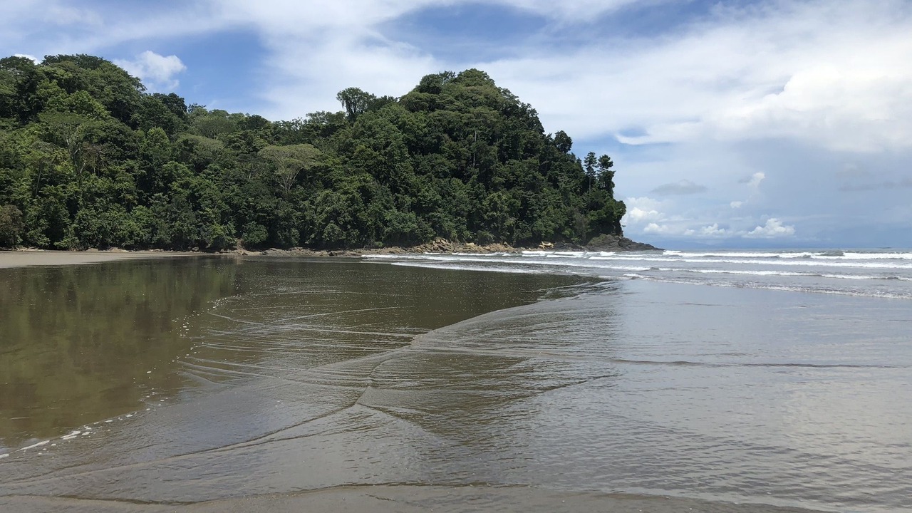 Photo of Others in Uvita