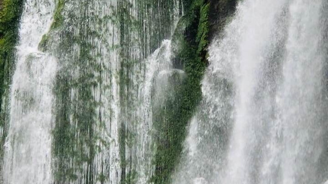 Photo of Others in Uvita