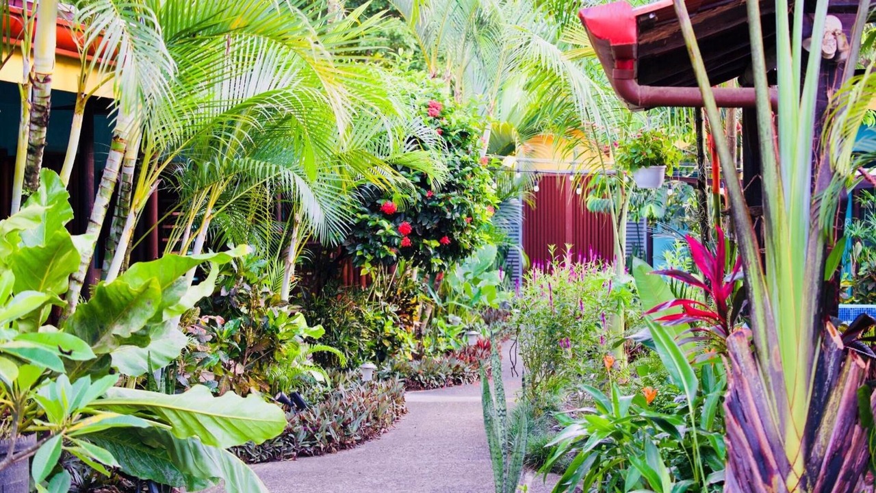 Photo of Outdoor in Uvita