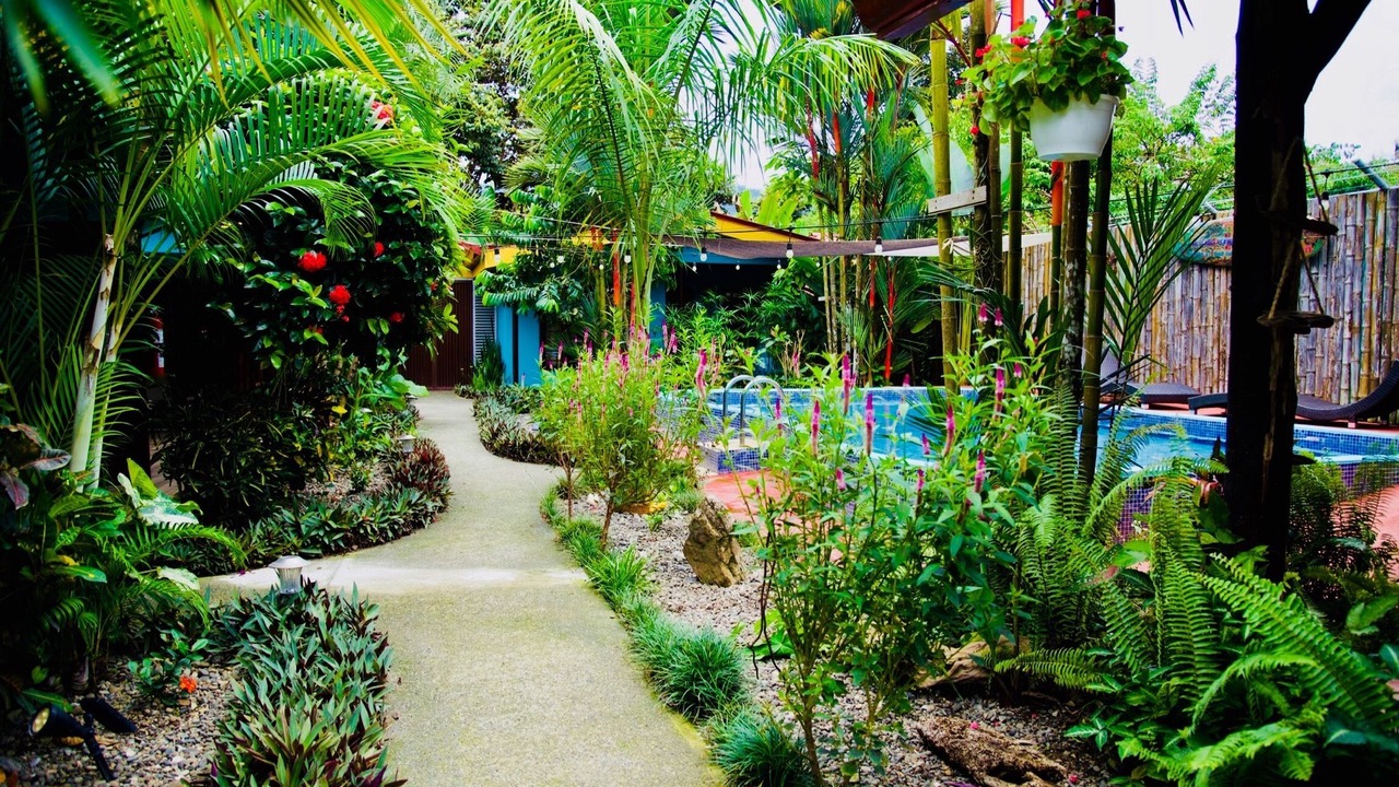 Photo of Outdoor in Uvita
