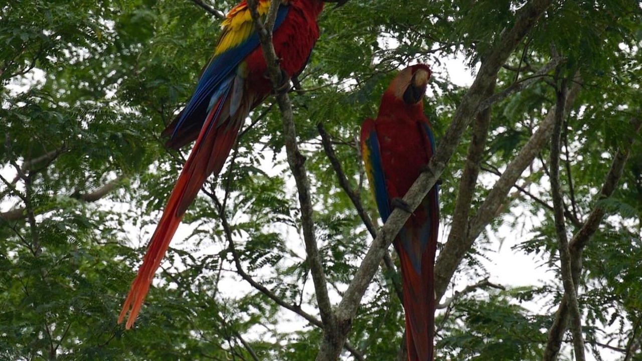 Photo of Outdoor in Uvita