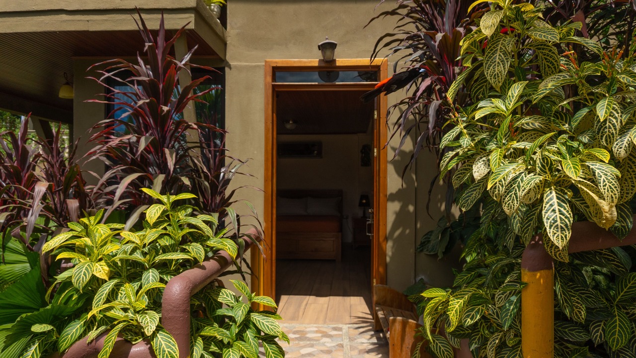 Photo of Patio Balcony in Drake Bay