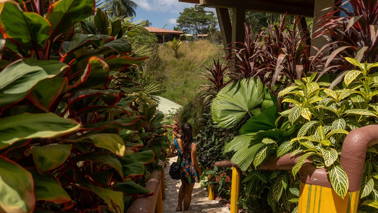 Photo of Outdoor in Drake Bay