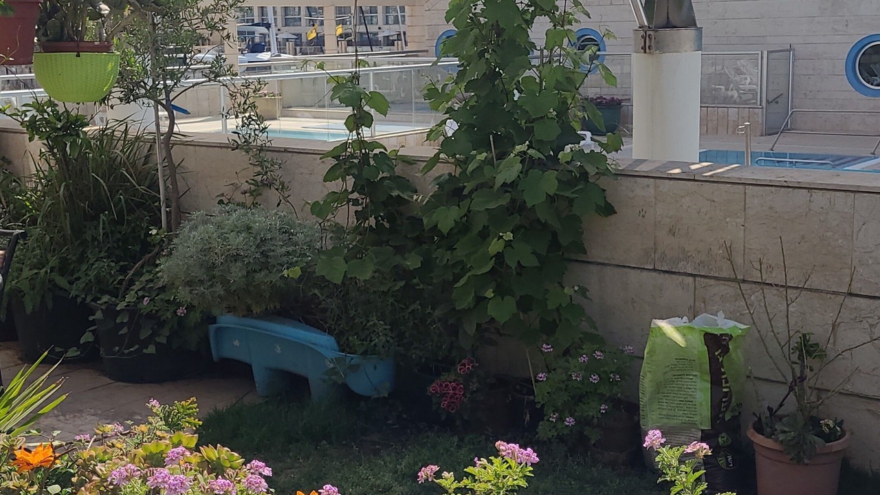 Photo of Outdoor in Herzliya Pituach