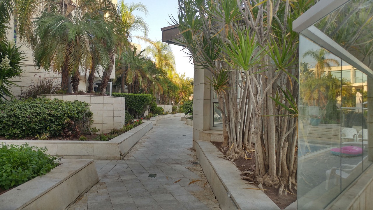 Photo of Outdoor in Herzliya Pituach