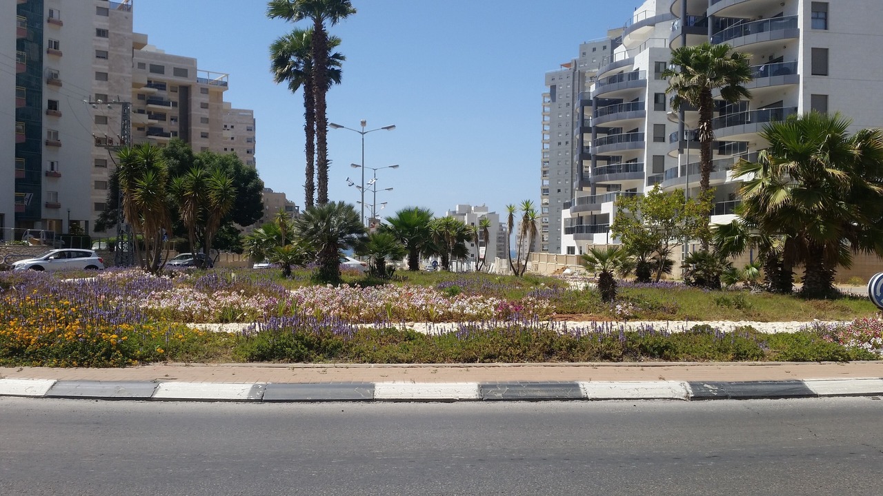 Photo of Others in Ashdod