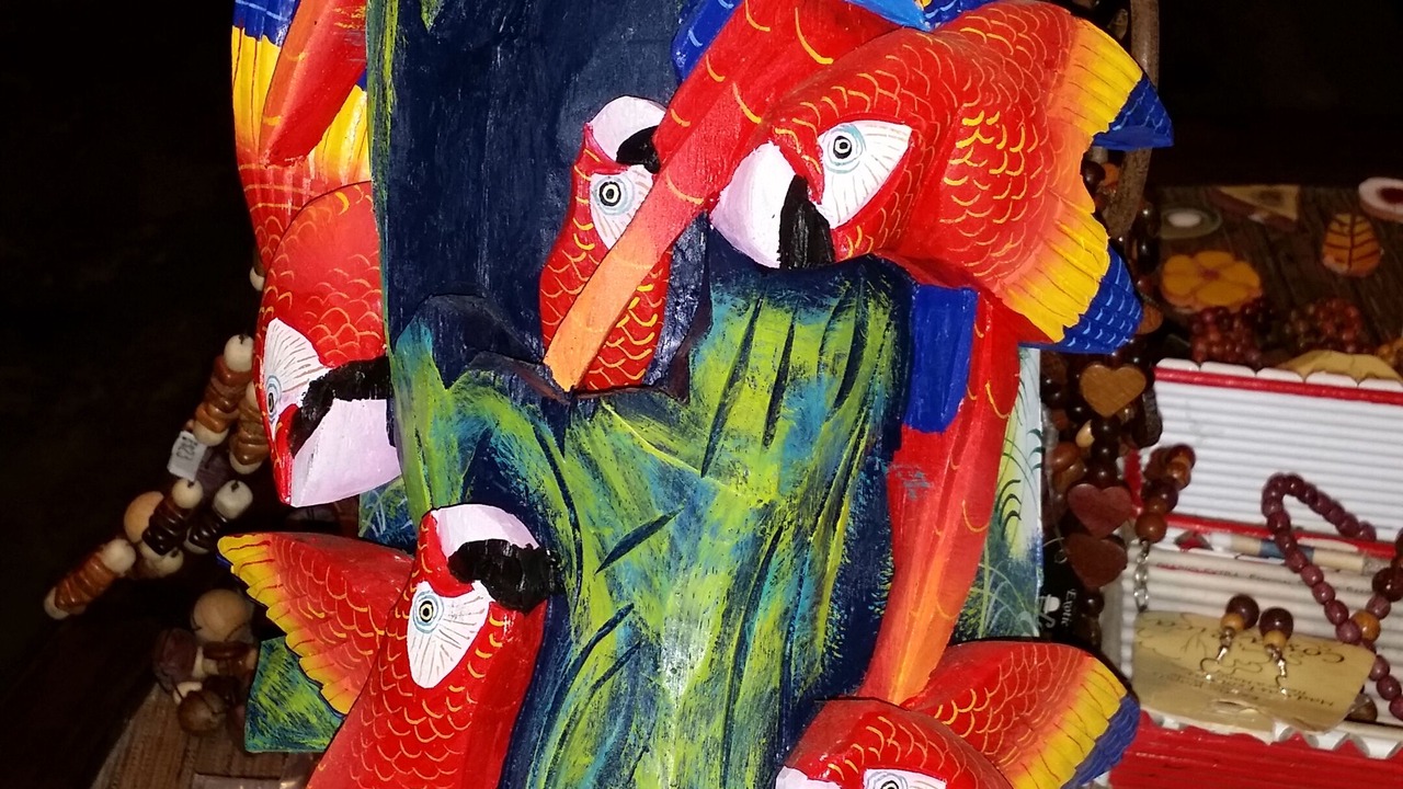 Photo of Others in Puerto Jimenez