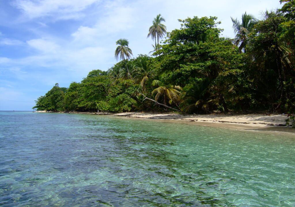 Photo of Others in Puerto Jimenez