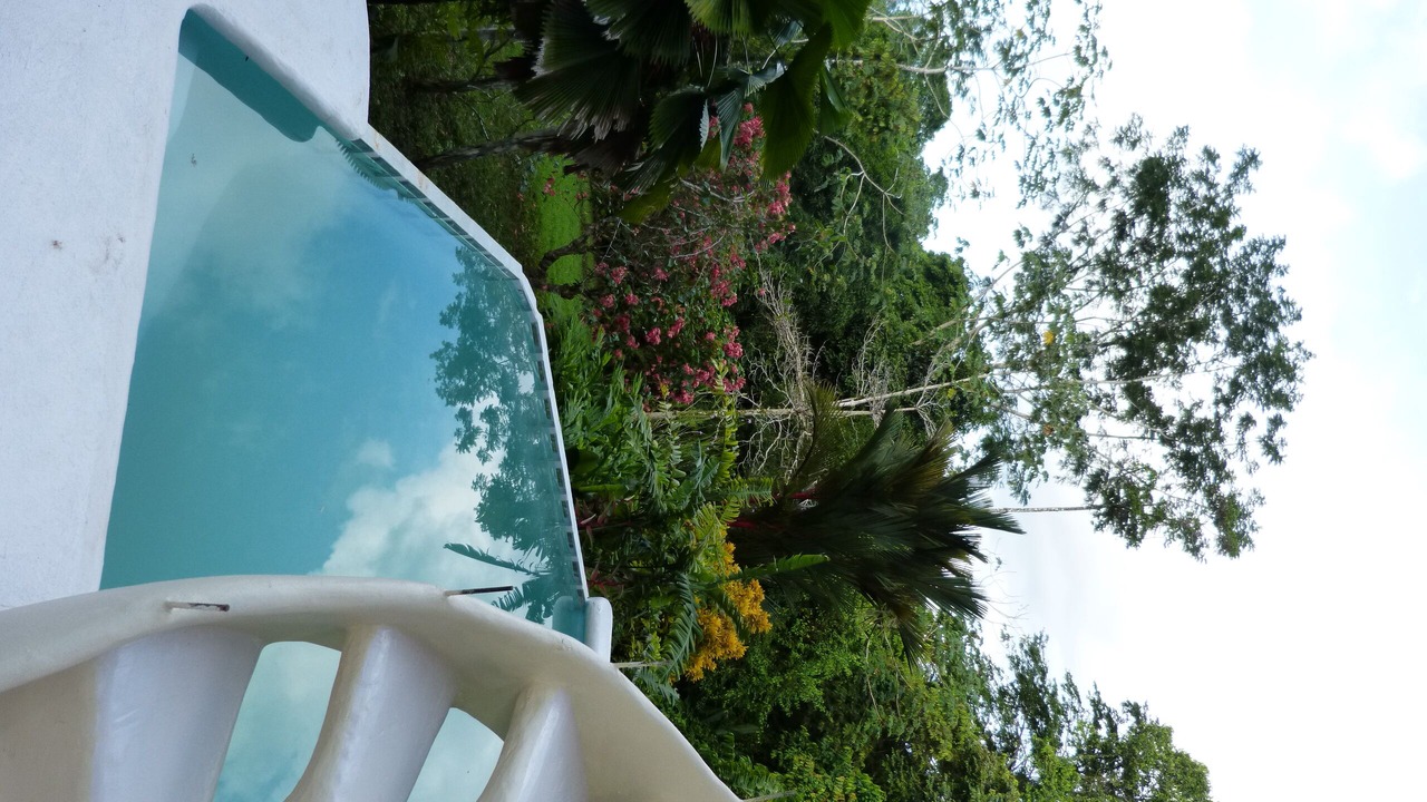 Photo of Outdoor in Puerto Jimenez