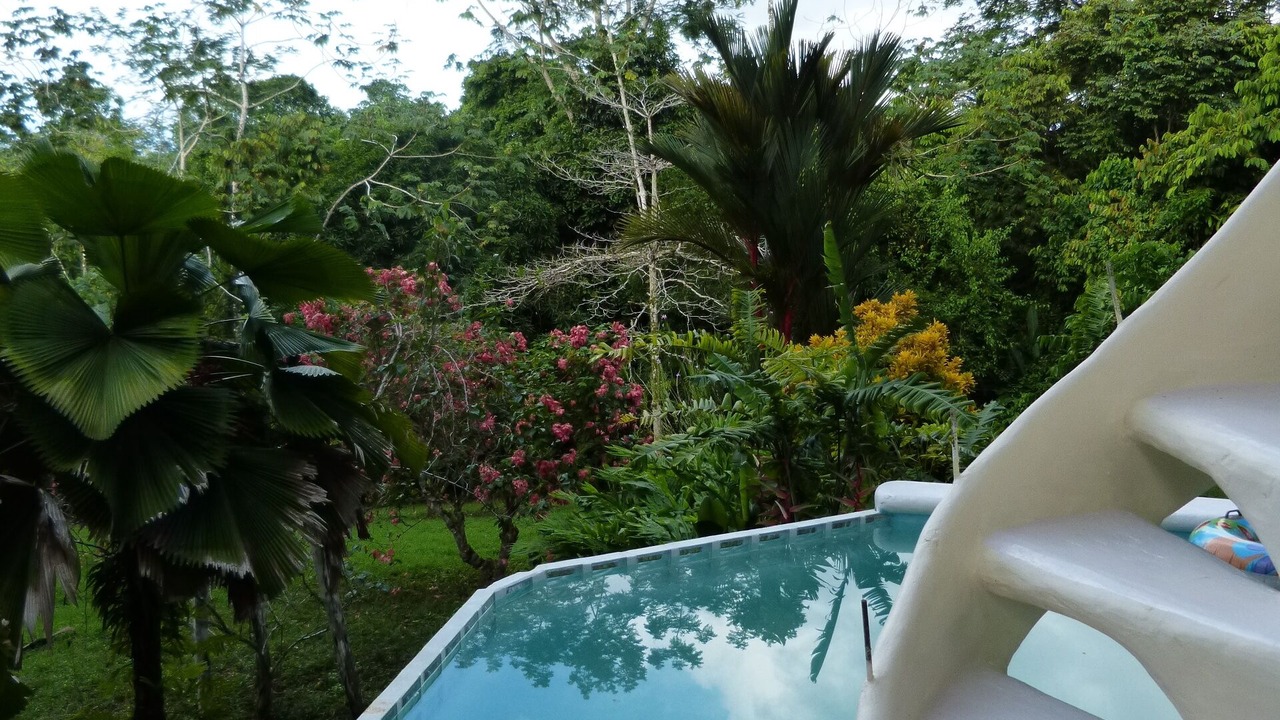 Photo of Outdoor in Puerto Jimenez