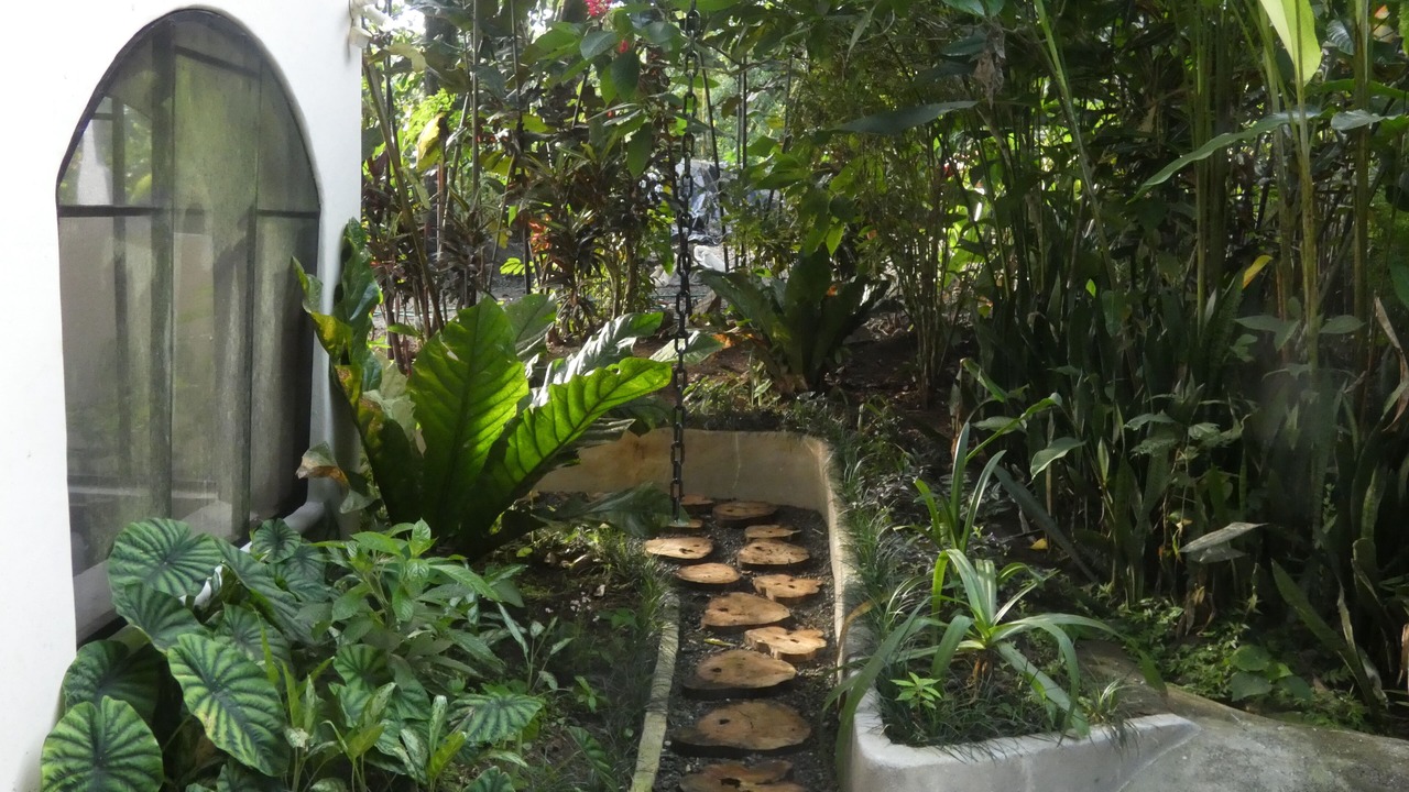Photo of Outdoor in Puerto Jimenez