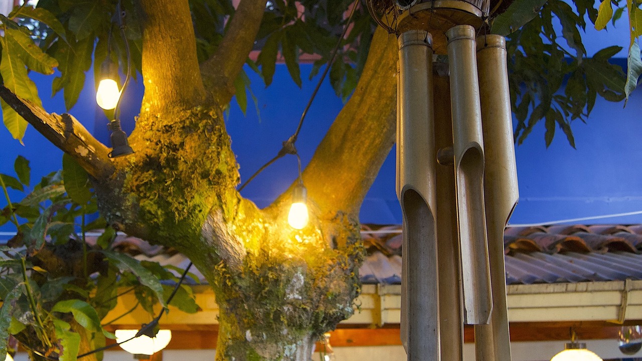 Photo of Outdoor in San Francisco