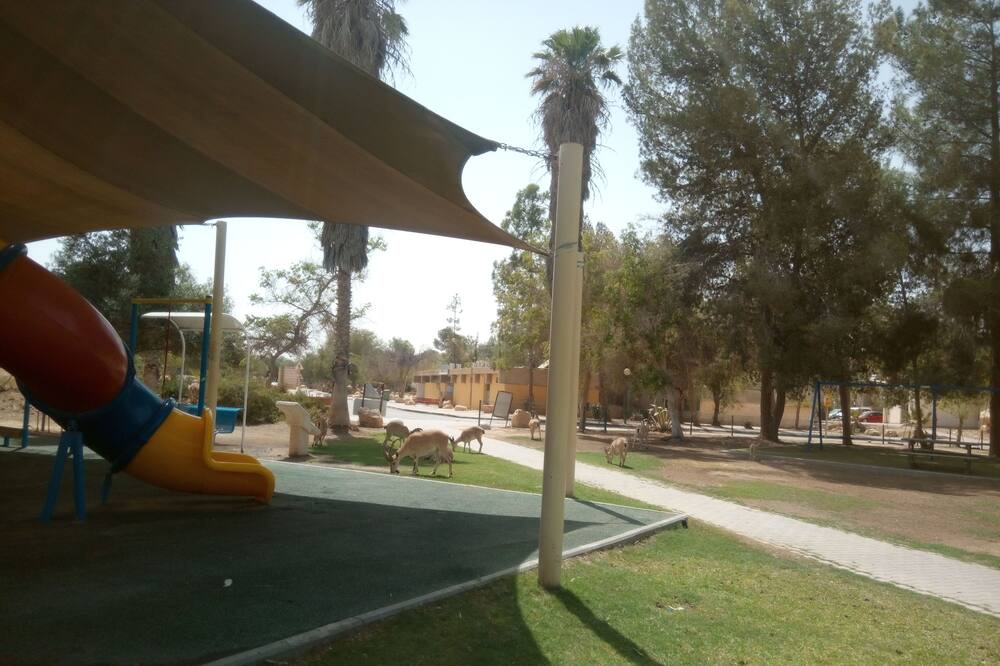Photo of Outdoor in Midreshet Ben-Gurion
