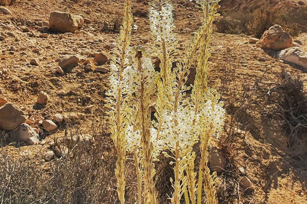 Photo of Outdoor in Midreshet Ben-Gurion