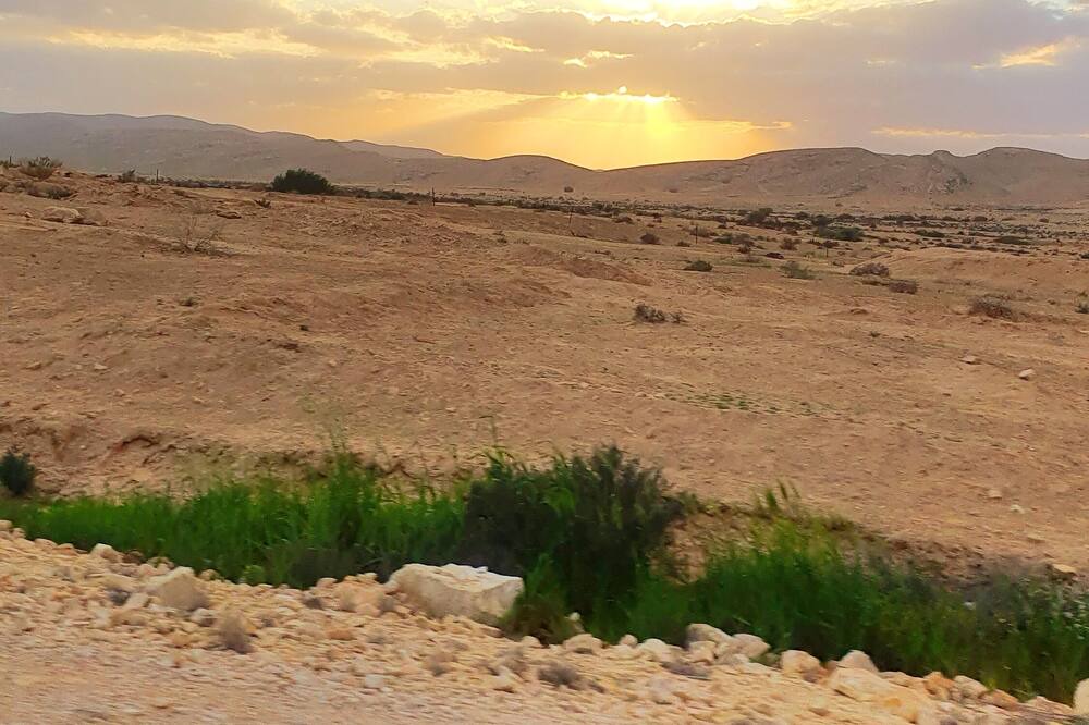 Photo of Outdoor in Midreshet Ben-Gurion