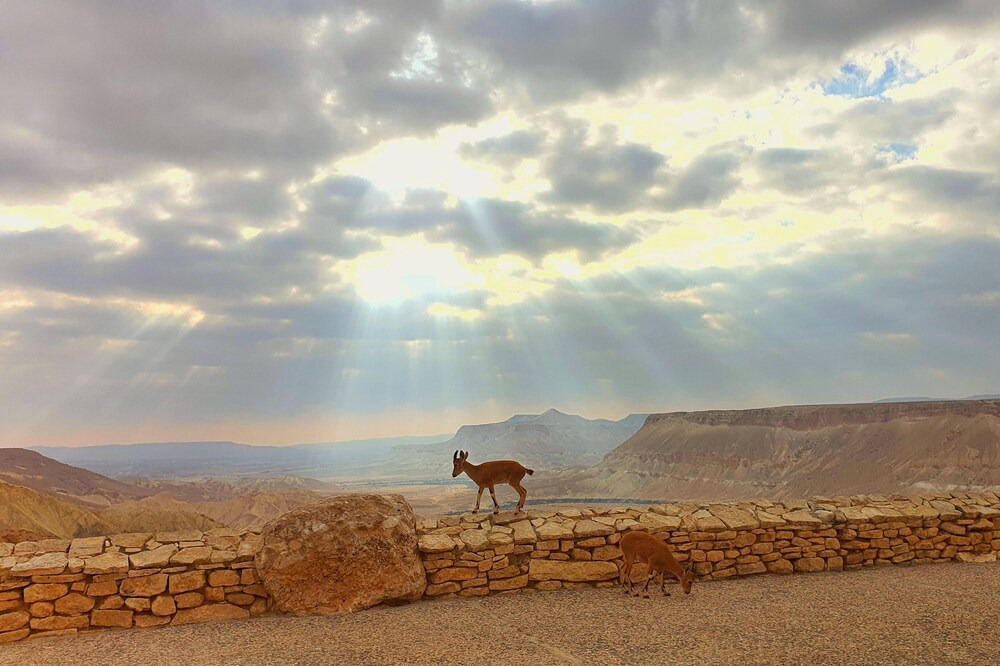 Photo of Outdoor in Midreshet Ben-Gurion