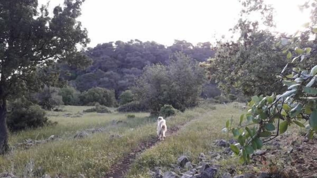 Photo of Outdoor in Isfiya