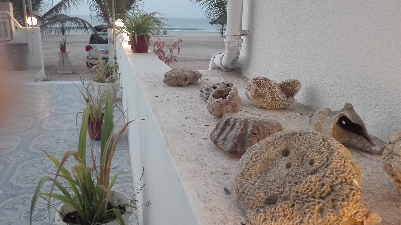 Photo of Outdoor in Dahariz