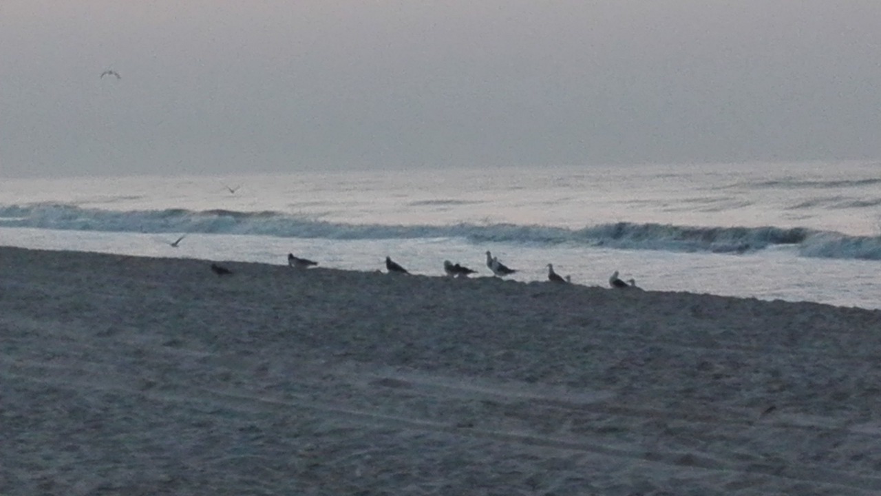 Photo of Others in Dahariz