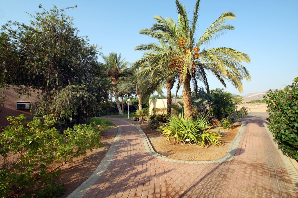 Photo of Outdoor in Be'er Ora